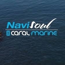 Navisoul
