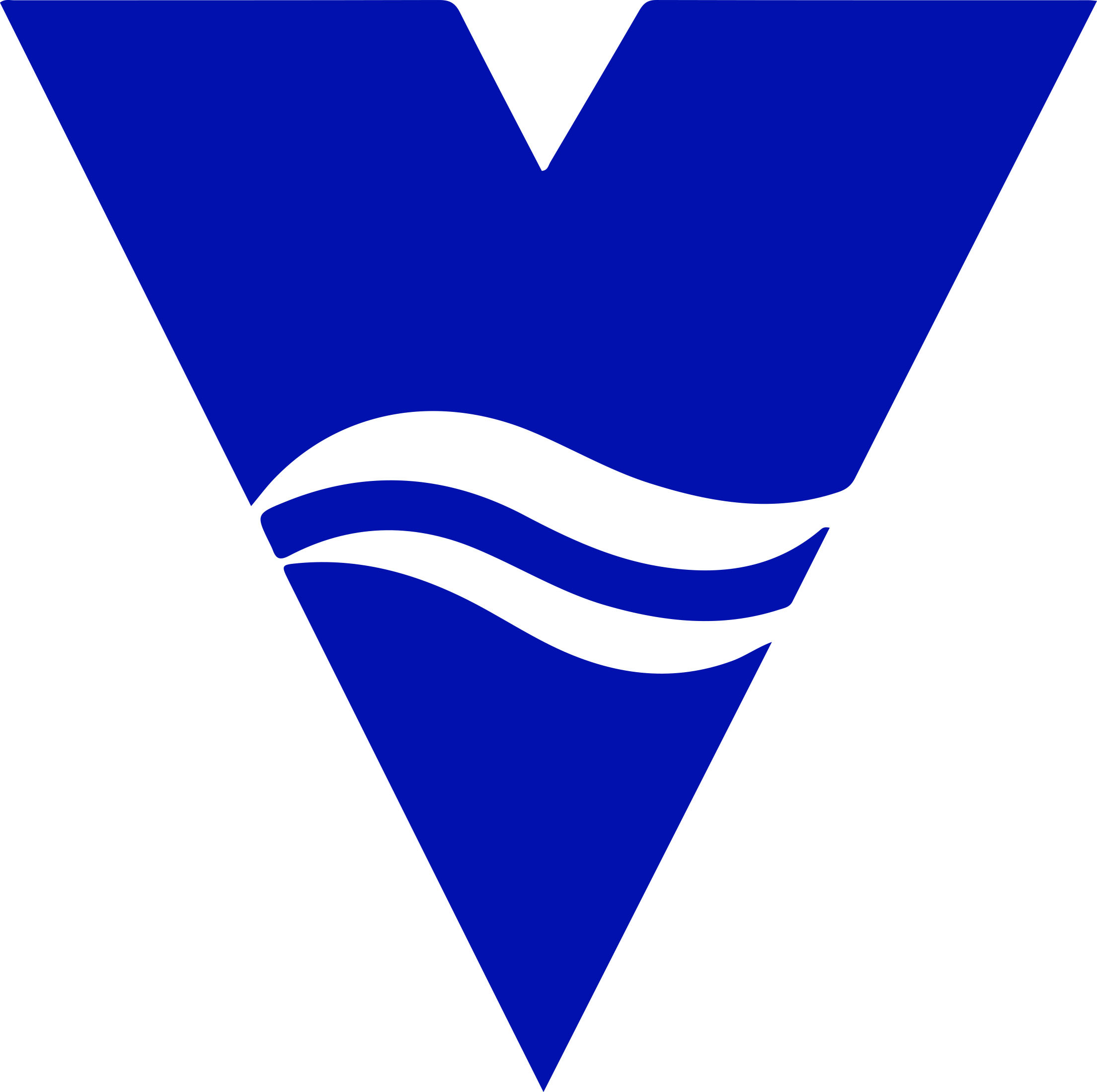 VECTOR NAUTICO