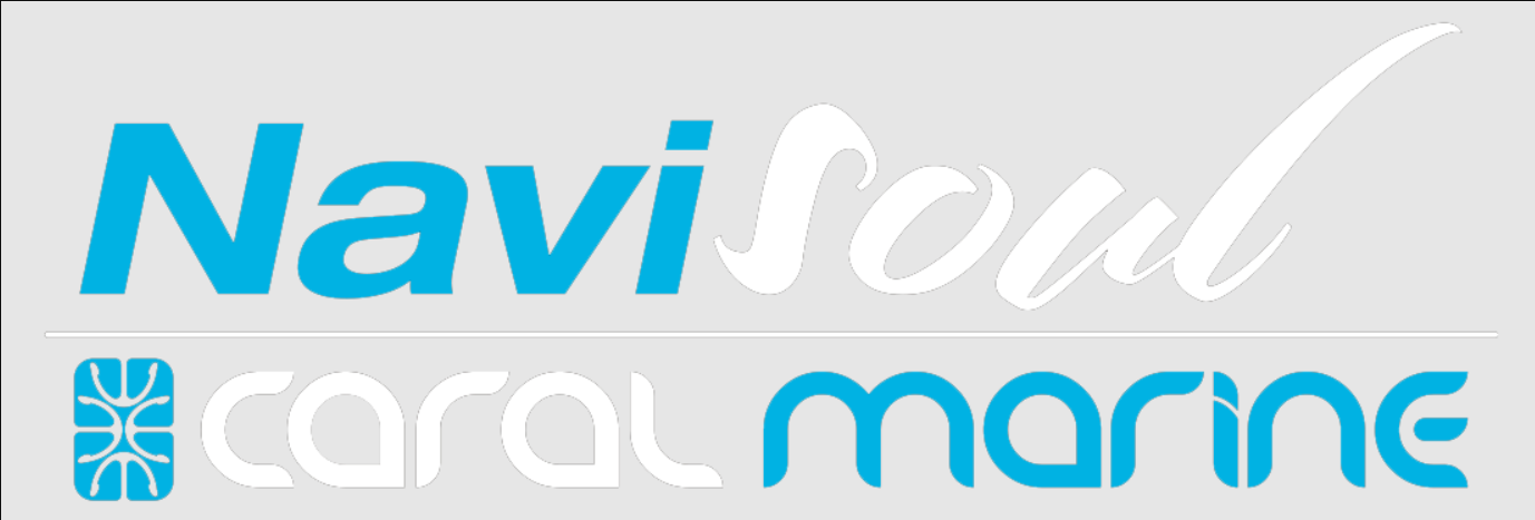 NAVISOUL